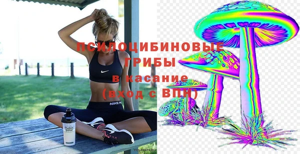 спиды Новозыбков
