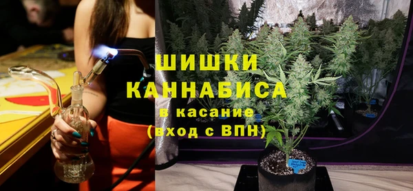 первитин Новодвинск