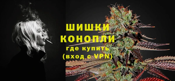 первитин Новодвинск