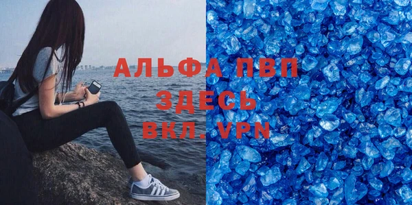 спиды Новозыбков